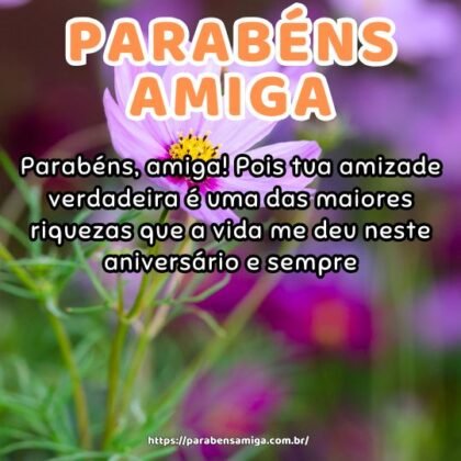 Parabéns, amiga! Pois tua amizade verdadeira é uma das maiores riquezas que a vida me deu neste aniversário e sempre.